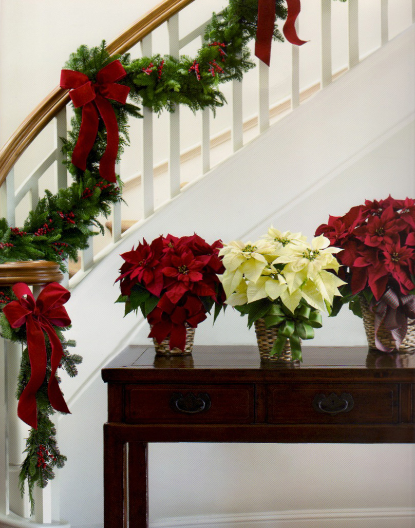 Christmas staircase