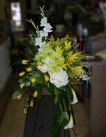 white yellow