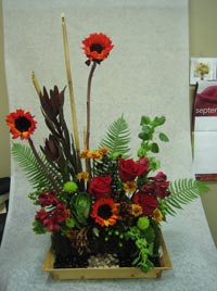 Red sunflowers