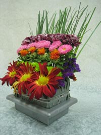 bright modern flowers