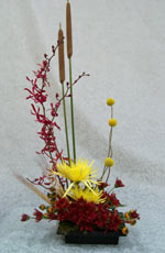 modern fall flowers