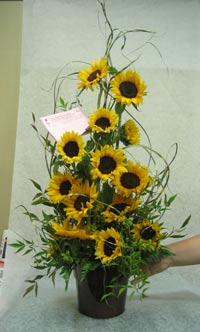 sunflowers